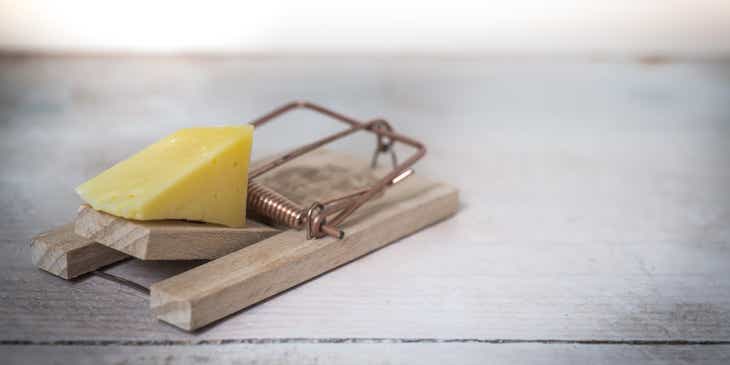 A mouse trap with cheese as bait used for pest control.