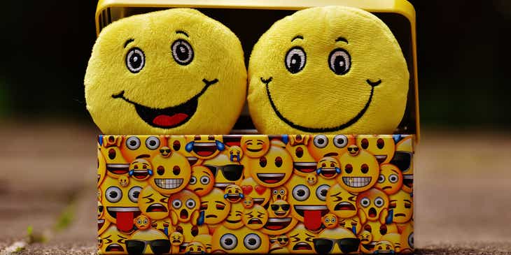 Zwei lustige gelbe Smileys aus Stoff strahlen übers ganze Gesicht.