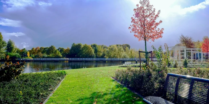 Eine Grünanlage neben einem See wird von einem Garten- und Landschaftsbau-Unternehmen instand gehalten.