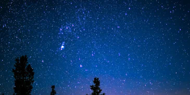 Yıldızlarla dolu göksel bir manzaranın önündeki ağaç silüetleri.