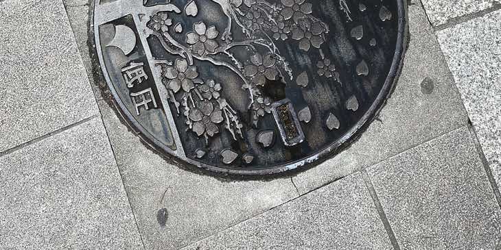 Una tapa de drenaje con un árbol japonés de color gris.