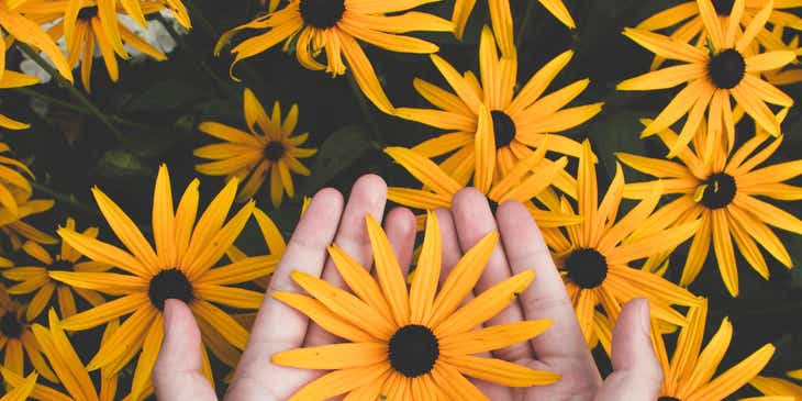Een persoon die een lieflijke bloem in de handpalmen houdt tegen een achtergrond met meerdere van dezelfde bloemen.
