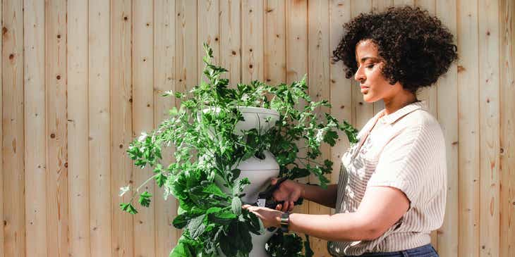 Kobieta dbająca o swoje rośliny zakupione w szkółce roślin.