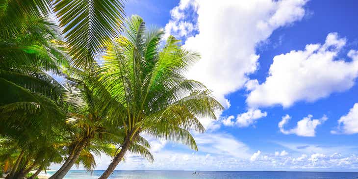 Een tropisch strandtafereel met wit zand, palmbomen en de blauwe lucht met witte wolken.