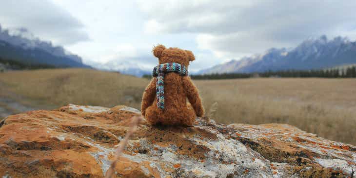 Un adorabile orsacchiotto di peluche rivolto verso una montagna che guarda il panorama.