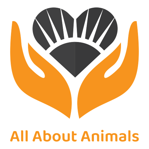 Animal Logos + Free Logo Maker