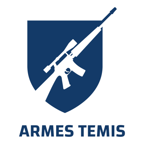 Concept Du Logo De La Bang D'armes à Feu Avec Illustration Du Fusil Et Du  Drapeau Illustration de Vecteur - Illustration du modifiable, amusement:  224723297