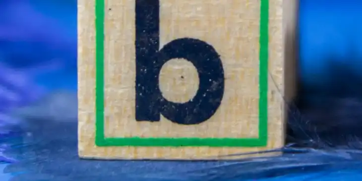 A wooden toy block with the letter "b" on it.