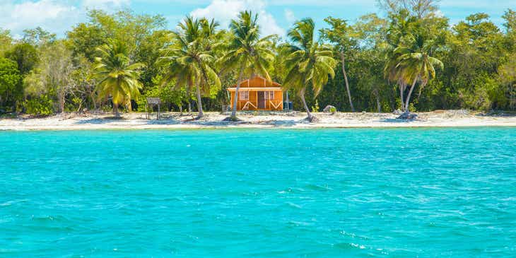 Bir plajın önünde palmiye ağaçlarıyla çevrili kiralık bir plaj evi.