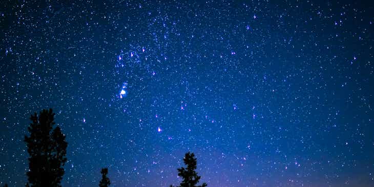 Un paesaggio celestiale con le silhouette di alcuni alberi davanti a un cielo notturno pieno di stelle.