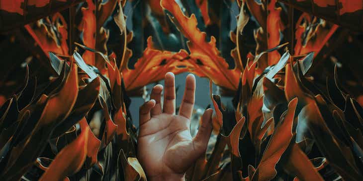 Ein abstraktes Foto einer Hand, die von exotischen orangen Blättern eingerahmt ist.