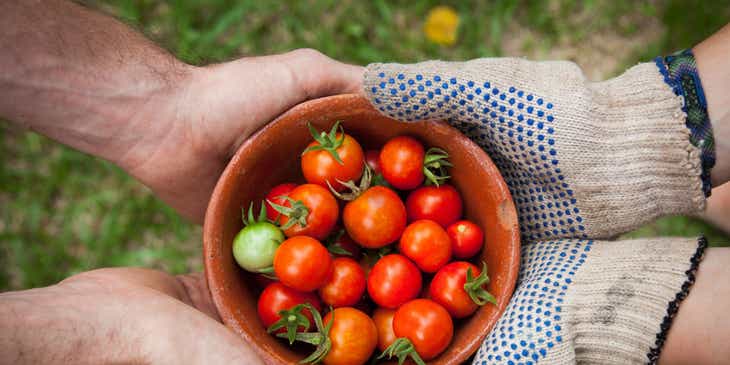 Eine gütige Person reicht einer anderen Person eine Schale mit Tomaten.
