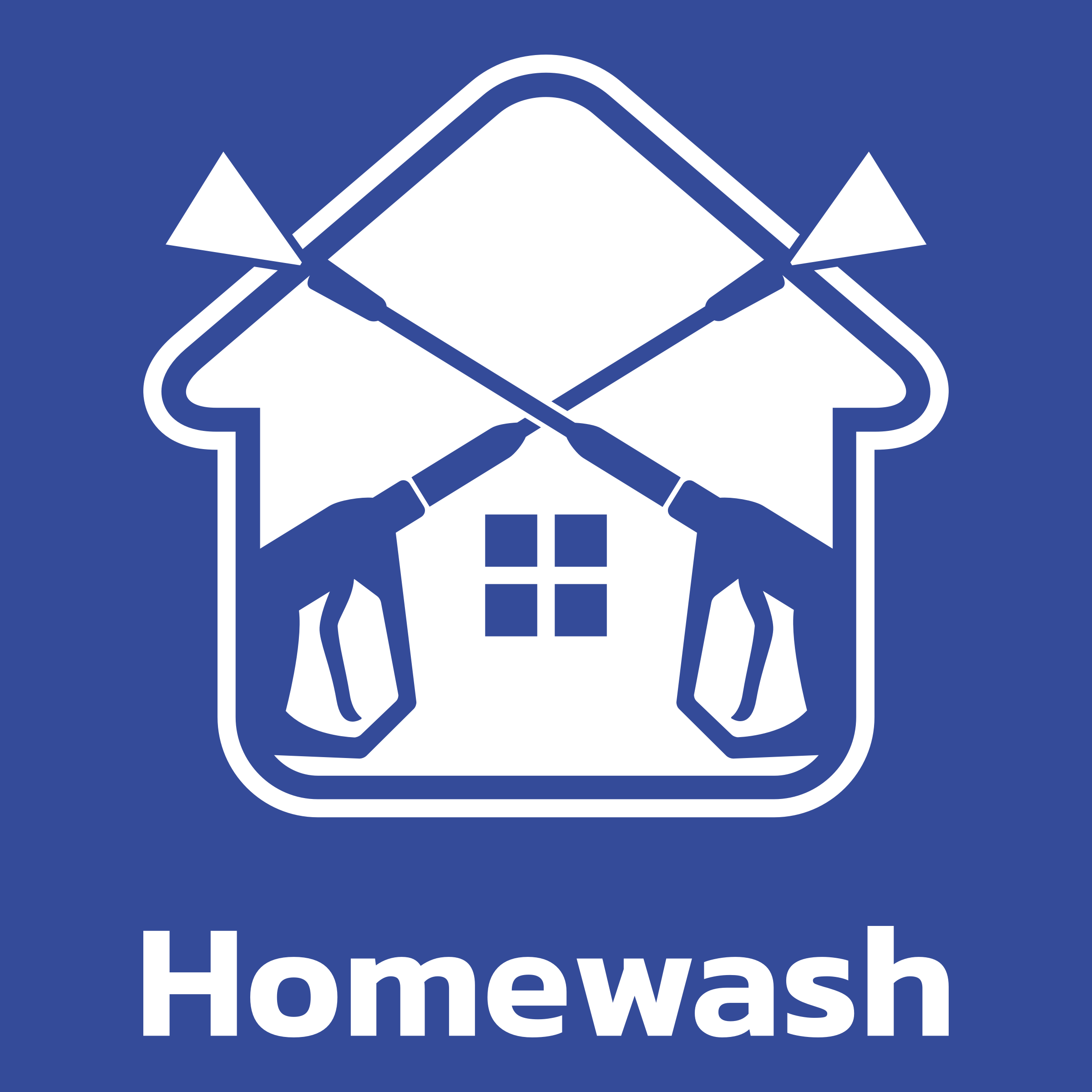 affordable pressure washing logo