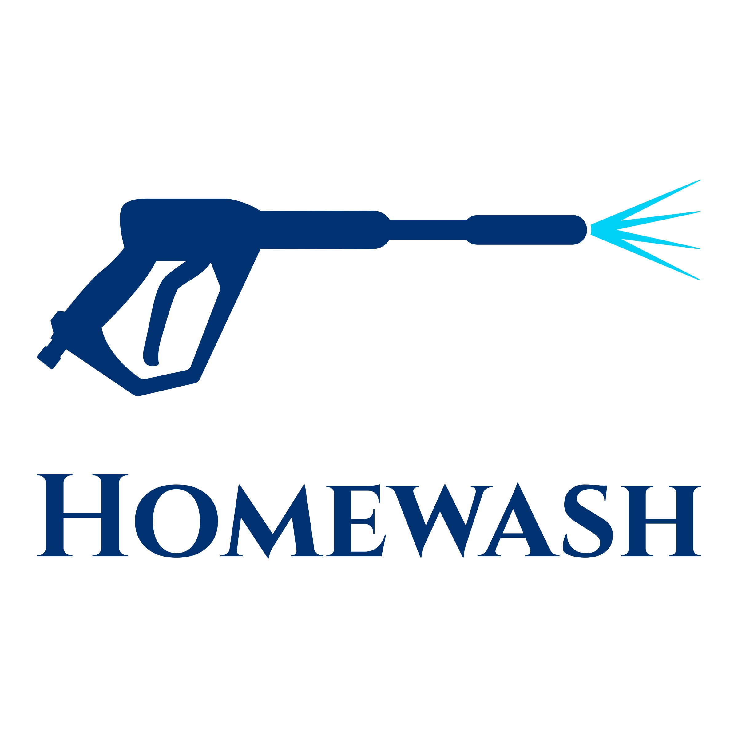 pressure washing car logo