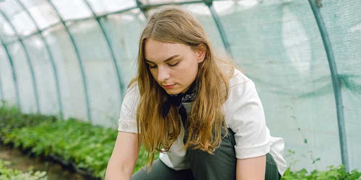 Une horticultrice s'occupe de plantes dans la serre d'une entreprise d'horticulture.