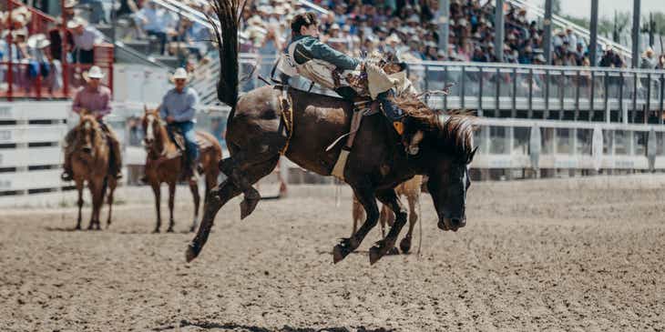 Un vaquero en un rodeo montando un toro.