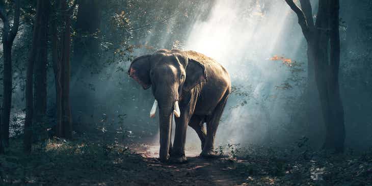 Un elefante caminando entre unos árboles en un logo con animales.