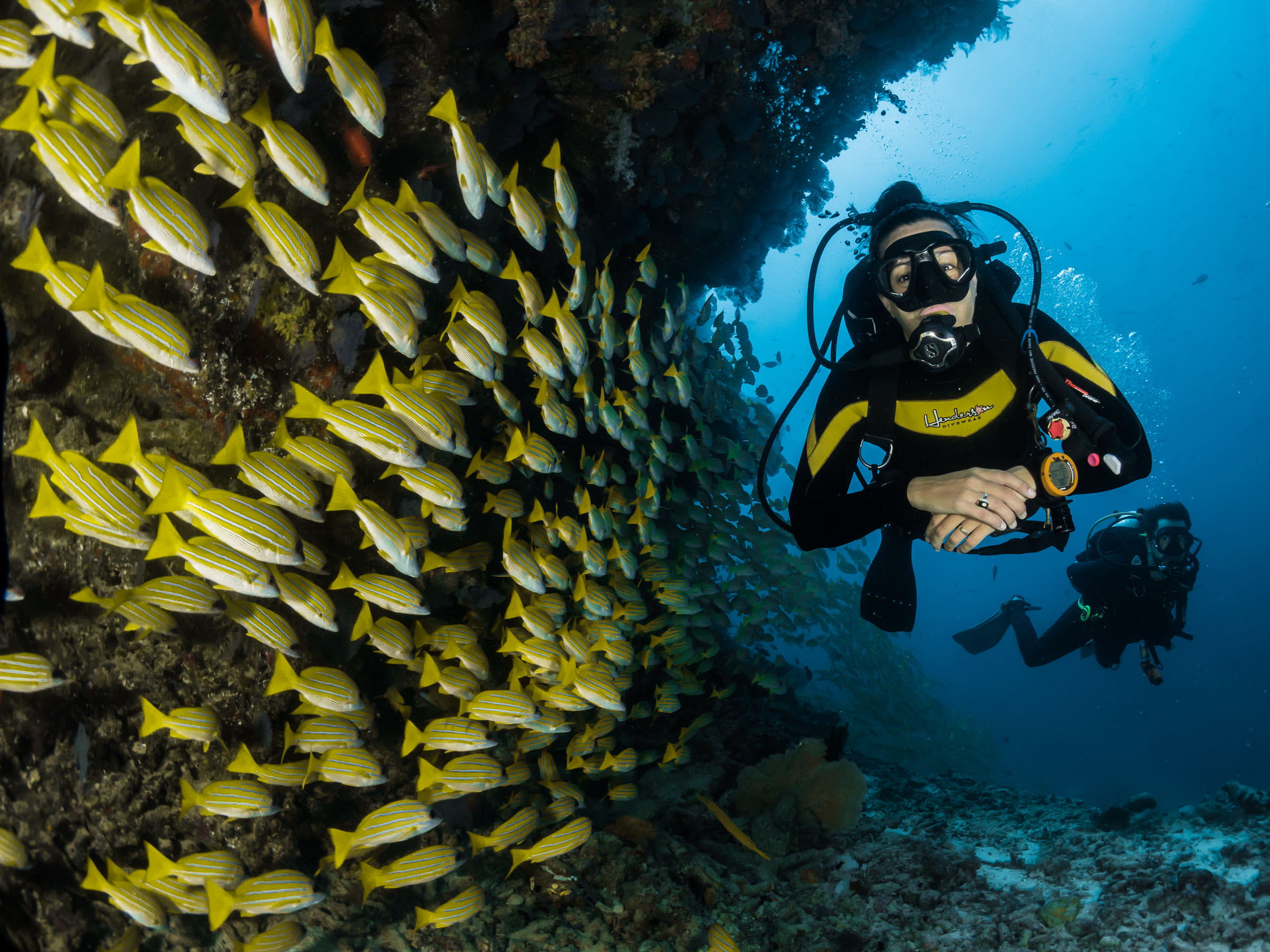 logotipo de buceo