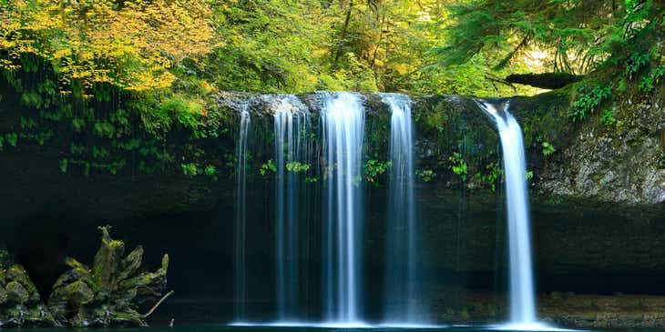 Uma cachoeira com árvores e pedras ao fundo.