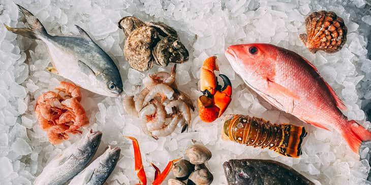 Berbagai macam seafood, termasuk ikan, kepiting, dan kerang yang diletakkan di atas permukaan es.