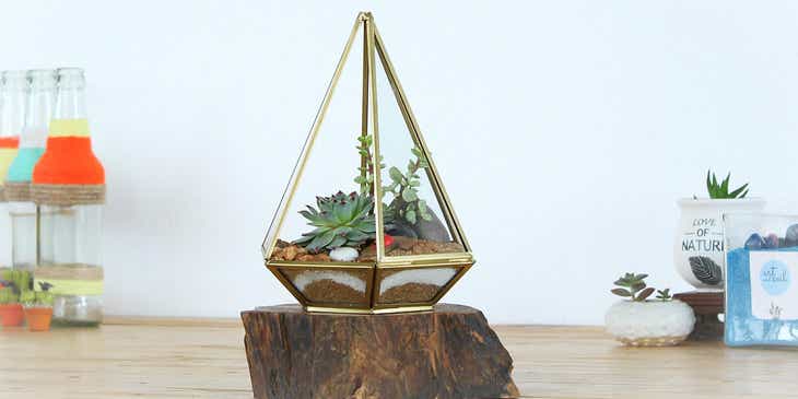 Un terrarium de plantas en un pedazo de tronco sobre la mesa.