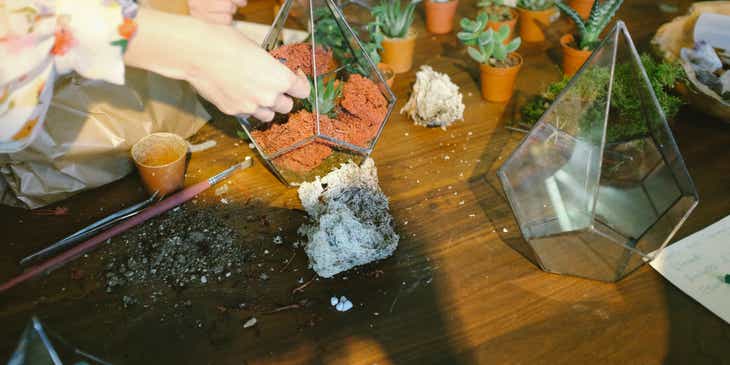 A group of people planting succulents into clear glass terrariums.