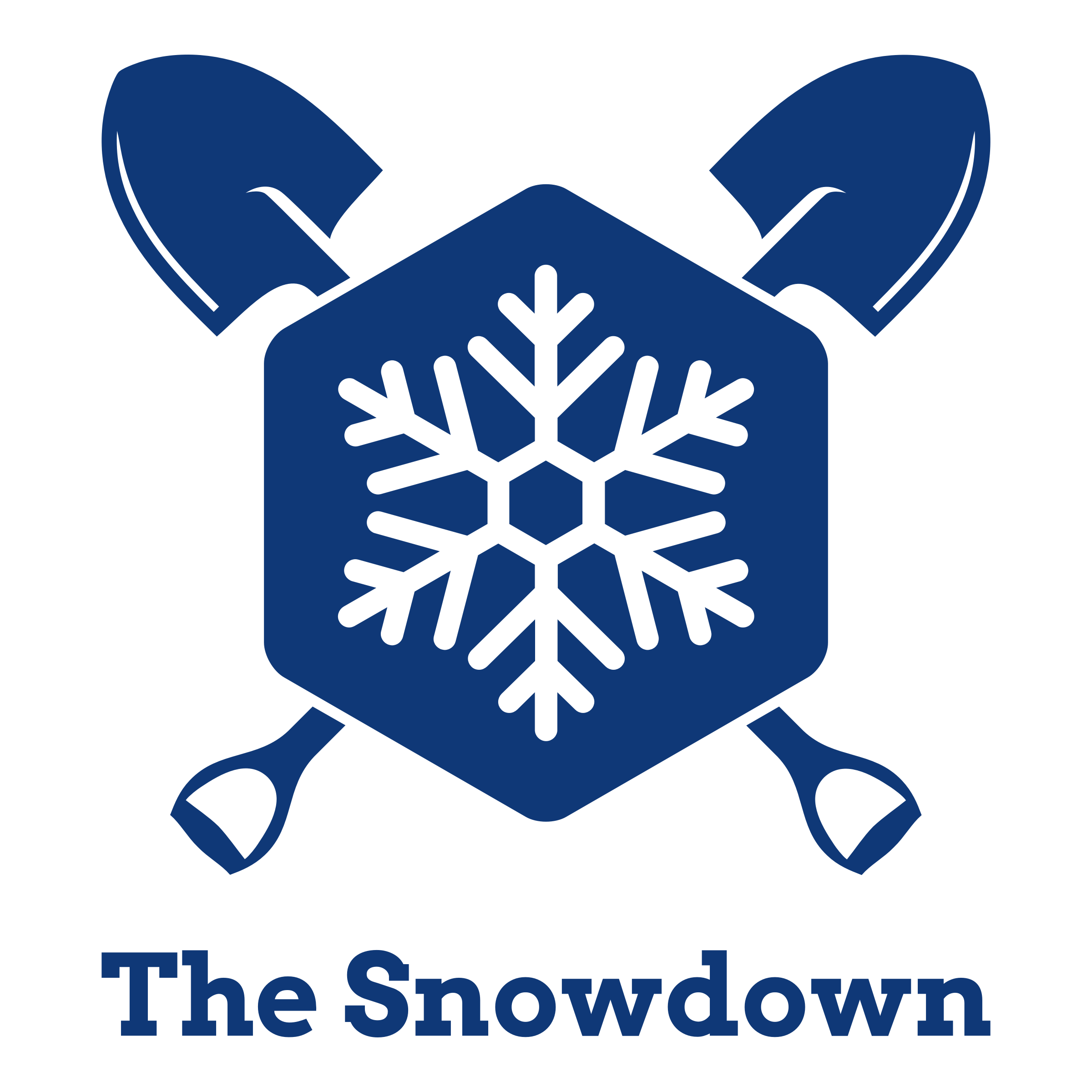 snow logo