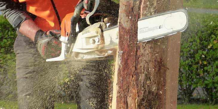 Seorang pekerja layanan pohon menebang pohon dengan gergaji mesin.