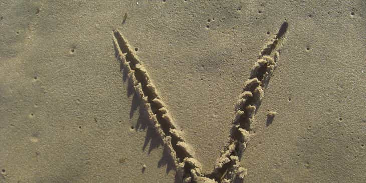 The letter "V" drawn in the sand at the beach.