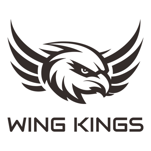 Wings Logo Ideas