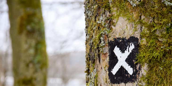 Uma letra "X" em branco em um quadrado preto pintado no tronco de uma árvore.